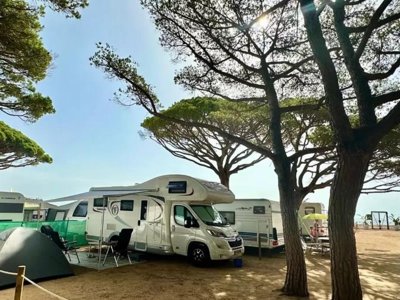 Cliquez pour découvrir toutes les photos de l'ÉTABLISSEMENT ! camping Vall D'Or photo 19