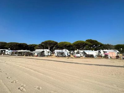 Cliquez pour découvrir toutes les photos de l'ÉTABLISSEMENT ! camping Vall D'Or photo 3