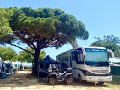Cliquez pour découvrir toutes les photos de l'ÉTABLISSEMENT ! camping Vall D'Or photo 30