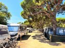 Camping Pas Cher vous présente avec son site Officiel campingpascher.fr, le Camping Vall D'Or classé 3 étoiles, situé sur la commune de Platja D'aro dans le département Gérone (Catalogne) en Espagne. Le camping Vall D'Or, vous présente un hébergement de type mobil-home de 25 m². Le camping Vall D'Or vous propose du dimanche 27 septembre au dimanche 04 octobre 2026 pour 7 nuits à 350€. Cette location propose 48 dates différentes pour réserver votre séjour. Découvrez également les 2 autres gammes d'hébergements du camping. Les Avis clients pour le Camping Vall D'Or sont de 7 sur 10. Mer, Animation enfants, Animations familiales, Aire de jeux enfants, Ping-pong, Piscine, Planche à voile, Plongée, Pétanque, Salle de jeux vidéo, Terrain de basketball, Terrain de beach-volley, Terrain de volley-ball, kiteSurf, Bar, Dépôt de pain, Restaurant, Snack/Bar, Épicerie,... En savoir plus : cliquez-ICI.