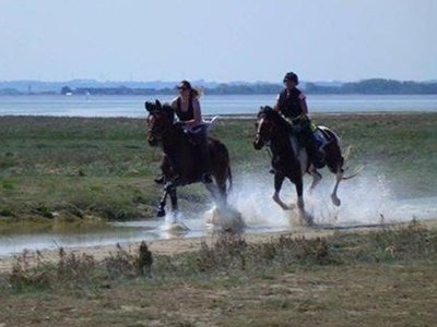 camping De La Haie Penée photo 17