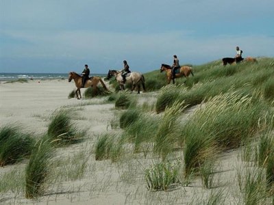 camping De La Haie Penée photo 22