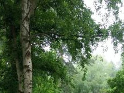 camping De La Haie Penée photo 24