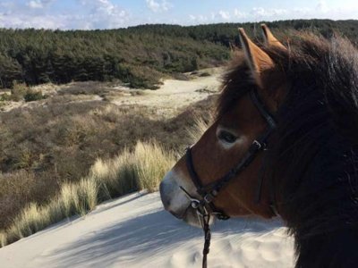 camping De La Haie Penée photo 26