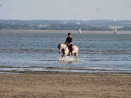 Camping Pas Cher vous présente avec son site Officiel campingpascher.fr, le Camping De La Haie Penée classé 4 étoiles, situé sur la commune de Saint Quentin En Tourmont dans le département Somme (Picardie) en France. Le camping De La Haie Penée vous propose un hébergement de type mobil-home. L'établissement vous propose 12 autres types d'hébergements. Découvrez tous nos séjours à petits prix dans la commune et aux alentours de Saint Quentin En Tourmont du département : Somme (Picardie). Les Avis clients pour le Camping De La Haie Penée sont excellents avec une note moyenne de 8 sur 10. Piscine couverte, Piscine extérieure, Animations familiales, Club ados, Club enfants, Aire de jeux enfants, Baby-foot, Ping-pong, Pétanque, Salle de fitness, Structure gonflable enfants, Terrain multisports, Snack/Bar, Épicerie,... En savoir plus : cliquez-ICI.