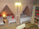 Cliquez pour découvrir toutes les photos de l'HÉBERGEMENT ! bungalow toilé - village vacances Cévéo Mimizan Plage photo 2