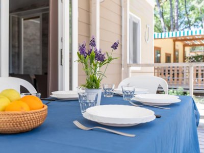 Cliquez pour découvrir toutes les photos de l'HÉBERGEMENT ! mobil-home - Marina Romea Easy Village photo 3