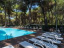 Camping Pas Cher vous présente avec son site Officiel campingpascher.fr, le Camping Marina Romea Easy Village classé 3 étoiles, situé sur la commune de Casal Borsetti dans le département Ravenne (Emilia Romagna) en Italie. Le camping Marina Romea Easy Village vous propose un hébergement de type chalet de 29 m² pour 4 personnes. L'établissement vous propose 5 autres types d'hébergements. Découvrez tous nos séjours à petits prix dans la commune et aux alentours de Casal Borsetti du département : Ravenne (Emilia Romagna). Mer, Piscine extérieure, Animations familiales, Club enfants, Aire de jeux enfants, Canoë-kayak, Centre équestre, Ping-pong, Pétanque, Salle de fitness, Salle de jeux vidéo, Terrain de basketball, Terrain de beach-volley, Bar, Plats à emporter, Restaurant, Snack/Bar, Supermarché, Épicerie,... En savoir plus : cliquez-ICI.