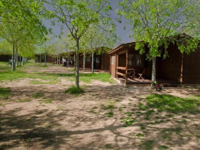 Cliquez pour découvrir toutes les photos de l'ÉTABLISSEMENT ! camping Ecocamp Vinyols photo 11