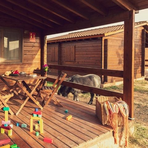 bungalow - Ecocamp Vinyols photo 3