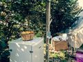 Cliquez pour découvrir toutes les photos de l'HÉBERGEMENT ! tente - camping Ecocamp Vinyols photo 5