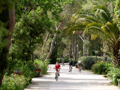 Cliquez pour découvrir toutes les photos de l'ÉTABLISSEMENT ! établissement Campo Dei Fiori &Amp; Bungalows photo 4