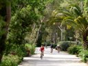 Cliquez pour découvrir toutes les photos de l'ÉTABLISSEMENT ! établissement Campo Dei Fiori &Amp; Bungalows photo 4