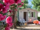 Camping Pas Cher vous présente avec son site Officiel campingpascher.fr, le Camping SUNELIA Ma Prairie classé 4 étoiles, situé sur la commune de Canet En Roussillon dans le département Pyrénées-orientales (Languedoc Roussillon) en France. Le camping SUNELIA Ma Prairie, vous présente un hébergement de type mobil-home de 16 m² pour 1 personne avec climatisation. Le camping SUNELIA Ma Prairie vous propose du lundi 25 mai au lundi 01 juin 2026 pour 7 nuits à 245€. Cette location propose 72 dates différentes pour réserver votre séjour. Découvrez également les 10 autres gammes d'hébergements du camping. Les Avis clients pour le Camping SUNELIA Ma Prairie sont excellents avec une note moyenne de 8 sur 10. Mer, Piscine chauffée, Piscine extérieure, Animation enfants, Animations familiales, Club enfants, Aire de jeux enfants, Baby-foot, Paddle, Ping-pong, Piscine, Planche à voile, Pétanque, Salle de fitness, Terrain de basketball, Terrain de football, Terrain multisports, Trampoline, kiteSurf, Bar, Boulangerie, Bureau de tabac, Créperie, Dépôt de pain, Restaurant, Snack/Bar, Station-service, Supermarché, Épicerie,... En savoir plus : cliquez-ICI.