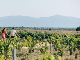 Camping Pas Cher vous présente avec son site Officiel campingpascher.fr, le Camping SUNELIA Ma Prairie classé 4 étoiles, situé sur la commune de Canet En Roussillon dans le département Pyrénées-orientales (Languedoc Roussillon) en France. Le camping SUNELIA Ma Prairie, vous présente un hébergement de type mobil-home de 26 m² pour 3 personnes avec climatisation et télévision. Le camping SUNELIA Ma Prairie vous propose du lundi 25 mai au lundi 01 juin 2026 pour 7 nuits à 350€. Cette location propose 73 dates différentes pour réserver votre séjour. Découvrez également les 10 autres gammes d'hébergements du camping. Les Avis clients pour le Camping SUNELIA Ma Prairie sont excellents avec une note moyenne de 8 sur 10. Mer, Piscine chauffée, Piscine extérieure, Animation enfants, Animations familiales, Club enfants, Aire de jeux enfants, Baby-foot, Paddle, Ping-pong, Piscine, Planche à voile, Pétanque, Salle de fitness, Terrain de basketball, Terrain de football, Terrain multisports, Trampoline, kiteSurf, Bar, Boulangerie, Bureau de tabac, Créperie, Dépôt de pain, Restaurant, Snack/Bar, Station-service, Supermarché, Épicerie,... En savoir plus : cliquez-ICI.