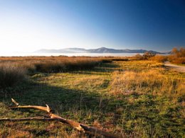 Camping Pas Cher vous présente avec son site Officiel campingpascher.fr, le Camping SUNELIA Ma Prairie classé 4 étoiles, situé sur la commune de Canet En Roussillon dans le département Pyrénées-orientales (Languedoc Roussillon) en France. Le camping SUNELIA Ma Prairie, vous présente un hébergement de type mobil-home de 32 m² pour 5 personnes avec climatisation et télévision. Le camping SUNELIA Ma Prairie vous propose du lundi 25 mai au lundi 01 juin 2026 pour 7 nuits à 455€. Cette location propose 66 dates différentes pour réserver votre séjour. Découvrez également les 10 autres gammes d'hébergements du camping. Les Avis clients pour le Camping SUNELIA Ma Prairie sont excellents avec une note moyenne de 8 sur 10. Mer, Piscine chauffée, Piscine extérieure, Animation enfants, Animations familiales, Club enfants, Aire de jeux enfants, Baby-foot, Paddle, Ping-pong, Piscine, Planche à voile, Pétanque, Salle de fitness, Terrain de basketball, Terrain de football, Terrain multisports, Trampoline, kiteSurf, Bar, Boulangerie, Bureau de tabac, Créperie, Dépôt de pain, Restaurant, Snack/Bar, Station-service, Supermarché, Épicerie,... En savoir plus : cliquez-ICI.