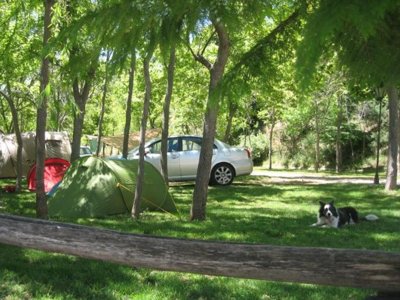 camping Trevélez photo 22