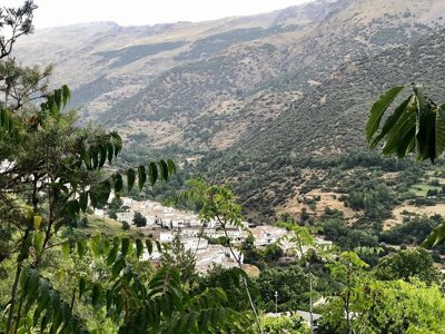 camping Trevélez photo 24