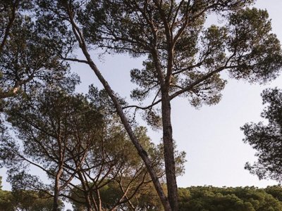Cliquez pour découvrir toutes les photos de l'HÉBERGEMENT ! tente en toile et bois - WeCamp Cala Montgo photo 7