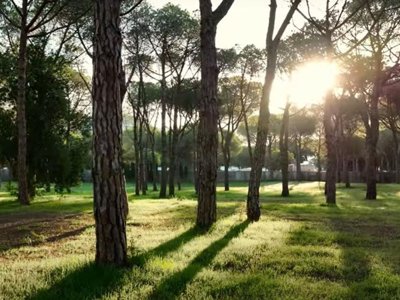 Cliquez pour découvrir toutes les photos de l'ÉTABLISSEMENT ! camping WeCamp Cala Montgo photo 25