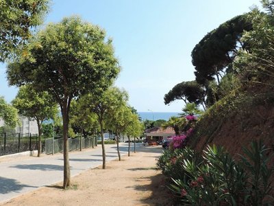 Cliquez pour découvrir toutes les photos de l'ÉTABLISSEMENT ! camping El Carlitos photo 25