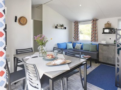 mobil-home - Paradis Domaine Oyat photo 3