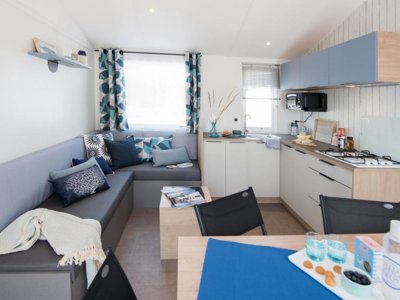 mobil-home - Paradis Domaine Oyat photo 3