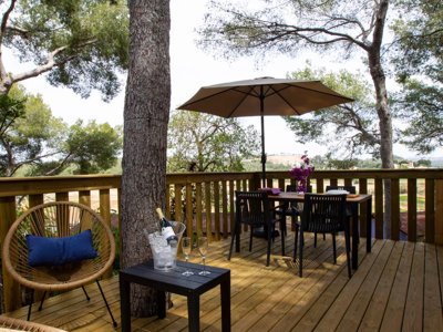 Cliquez pour découvrir toutes les photos de l'HÉBERGEMENT ! mobil-home - Caledonia photo 3