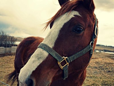 établissement Village Il Poggetto photo 14