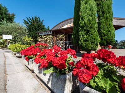 établissement Village Il Poggetto photo 25