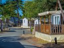 Cliquez pour découvrir toutes les photos de l'ÉTABLISSEMENT ! camping La Pinède photo 10