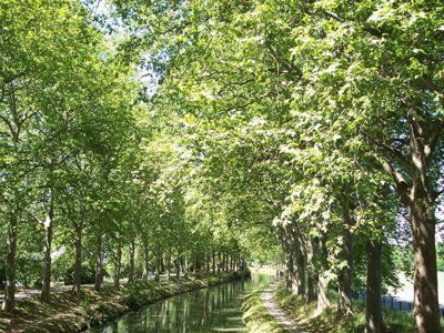 Cliquez pour découvrir toutes les photos de l'ÉTABLISSEMENT ! camping Sites Et Paysages - La Pinède photo 24
