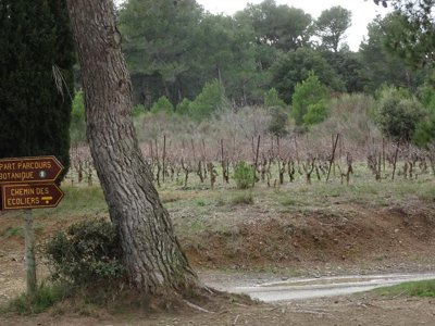 Cliquez pour découvrir toutes les photos de l'ÉTABLISSEMENT ! camping Sites Et Paysages - La Pinède photo 25