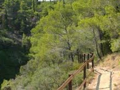 Cliquez pour découvrir toutes les photos de l'ÉTABLISSEMENT ! camping Sites Et Paysages - La Pinède photo 27