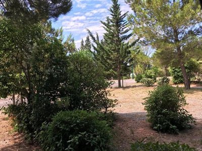 Cliquez pour découvrir toutes les photos de l'ÉTABLISSEMENT ! camping Sites Et Paysages - La Pinède photo 28