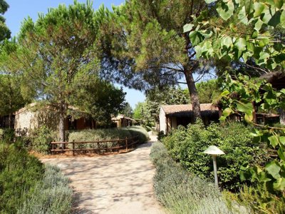 Cliquez pour découvrir toutes les photos de l'ÉTABLISSEMENT ! camping Village Rocchette photo 29