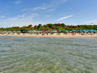 Cliquez pour découvrir toutes les photos de l'ÉTABLISSEMENT ! camping Maremma Sans Souci photo 19