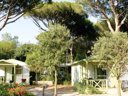 chalet - camping Maremma Sans Souci photo 2