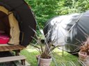 Cliquez pour découvrir toutes les photos de l'HÉBERGEMENT ! tente - camping Chez Gendron photo 4