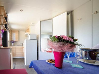 Cliquez pour découvrir toutes les photos de l'HÉBERGEMENT ! mobil-home - La Brise photo 2
