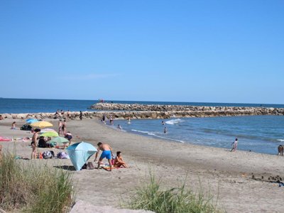 Cliquez pour découvrir toutes les photos de l'ÉTABLISSEMENT ! camping La Brise photo 15