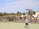 Cliquez pour découvrir toutes les photos de l'ÉTABLISSEMENT ! camping La Brise photo 9