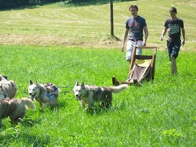 Cliquez pour découvrir toutes les photos de l'ÉTABLISSEMENT ! camping Appart'Hôtel Le Splendid D'Allevard photo 11