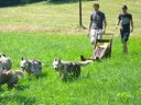 Cliquez pour découvrir toutes les photos de l'ÉTABLISSEMENT ! camping Appart'Hôtel Le Splendid D'Allevard photo 11