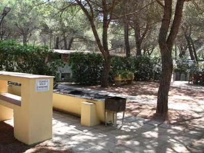 Cliquez pour découvrir toutes les photos de l'ÉTABLISSEMENT ! camping Village Il Sole photo 12