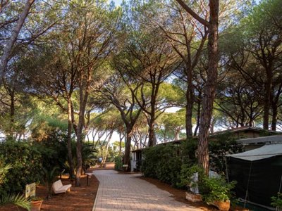 Cliquez pour découvrir toutes les photos de l'ÉTABLISSEMENT ! camping Village Il Sole photo 23
