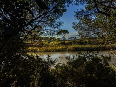 Cliquez pour découvrir toutes les photos de l'ÉTABLISSEMENT ! camping Village Il Sole photo 24