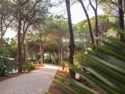 Cliquez pour découvrir toutes les photos de l'ÉTABLISSEMENT ! camping Village Il Sole photo 28