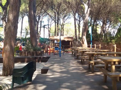 Cliquez pour découvrir toutes les photos de l'ÉTABLISSEMENT ! camping Village Il Sole photo 3