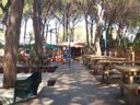 Cliquez pour découvrir toutes les photos de l'ÉTABLISSEMENT ! camping Village Il Sole photo 3
